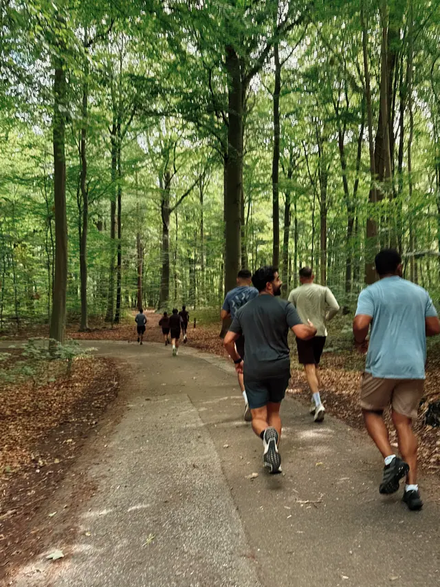 A wide woodland trail