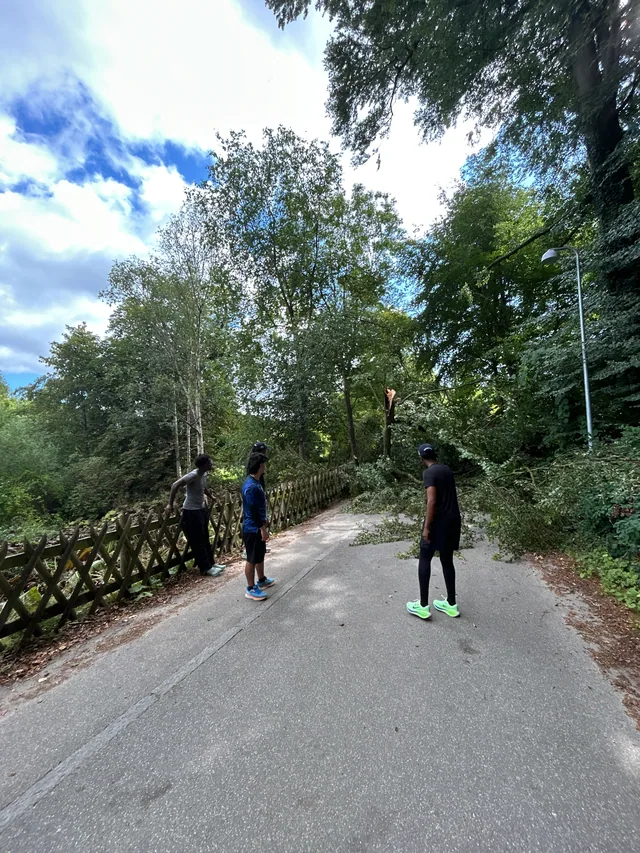 Regrouping on a quiet road beside the woods