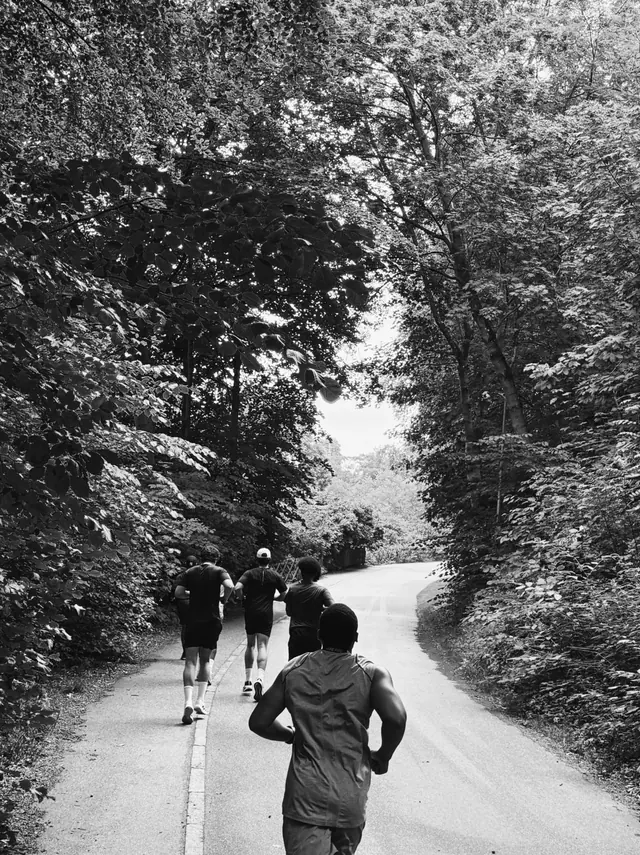 A forest road, black and white