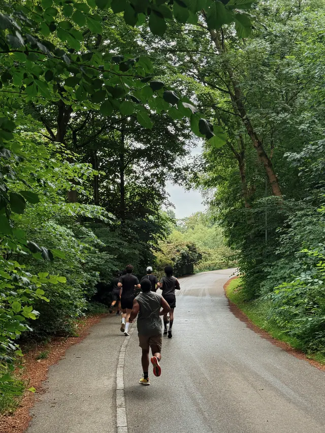 Runners on a green, tree-lined lane