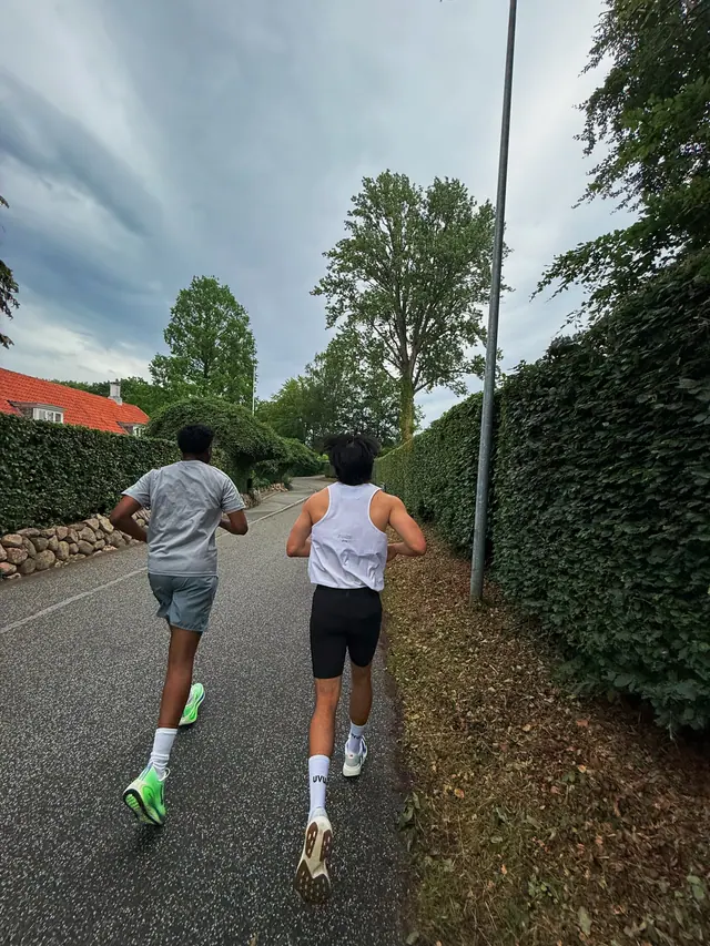 Two runners on a hedge-lined road