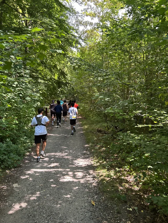 A line of runners on a narrow forest trail