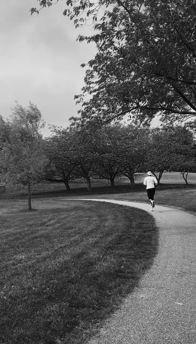 An empty park path